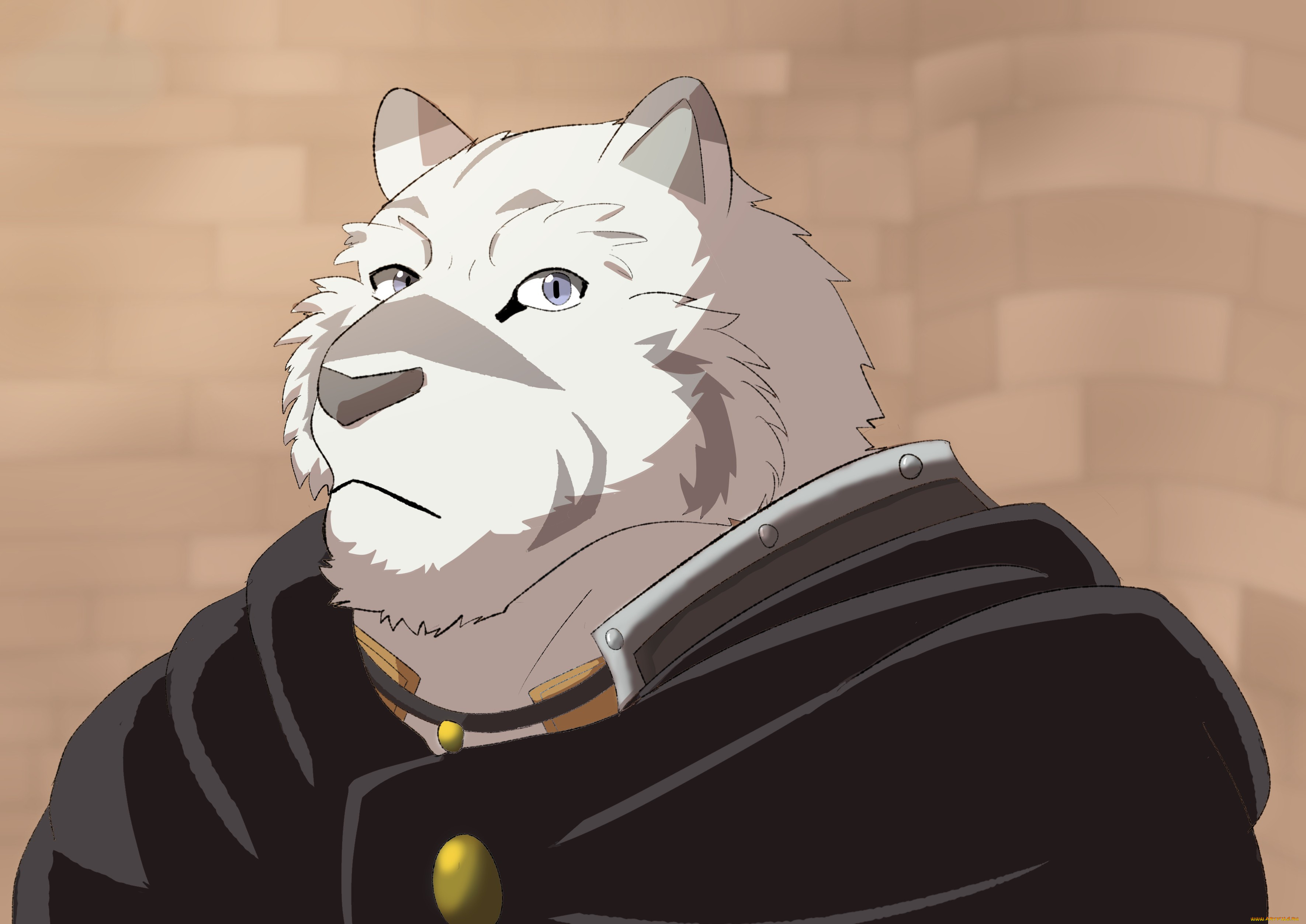 , grimoire of zero, zero, kara, hajimeru, mahou, no, sho
